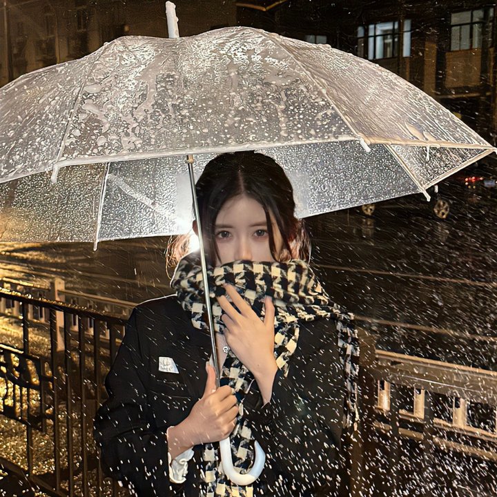 恐动雪梨海报